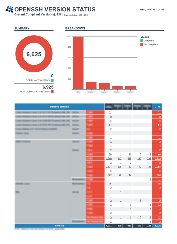 Open SSH Version Status report image